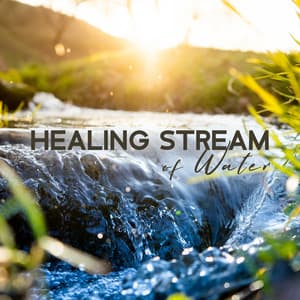 Healing Stream of Water: Soothe Your Nerves, Negative Emotions and Calm Your Mind - Calm Music Masters