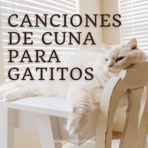 Canciones De Cuna Para Gatitos: Serenidad Gatuna - Mi serenidad
