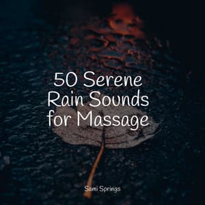 50 Serene Rain Sounds for Massage - The White Noise Zen & Meditation Sound Lab