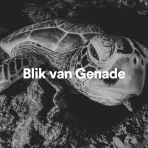 Blik Van Genade - Rustgevende Geluiden