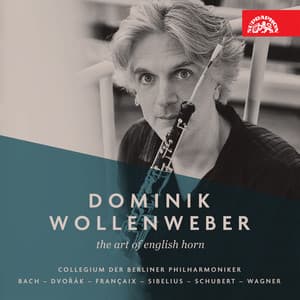 The Art of English Horn - Dominik Wollenweber