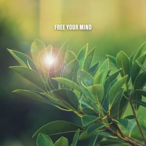 Free Your Mind - Meditation Music
