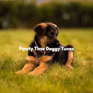 Pawty Time Doggy Tunes - Dog Music Zone