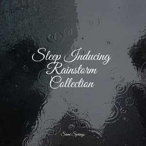 50 Pure Rainfall Album - Deep Sleep Music Academy