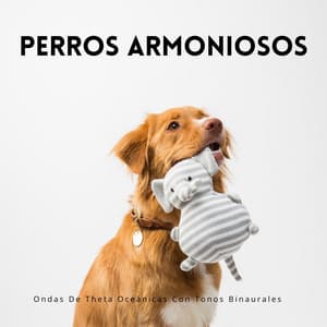 Perros Armoniosos: Ondas Theta Oceánicas Con Tonos Binaurales - La fábrica de ritmos binaurales