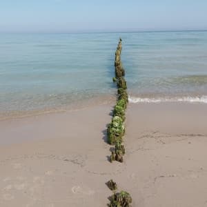 Coffee Jazz Table - Cozy Coffee Shop