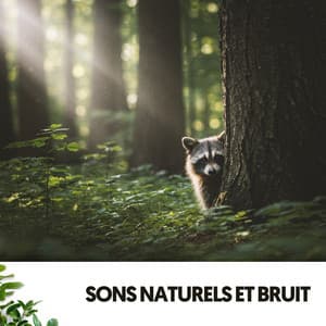 Sons Naturels et Bruit: Air Pur en Mélodie - Ruido Blanco Hart