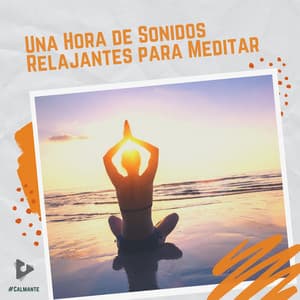 1 Hora de Sonidos Relajantes para Meditar - #Calmante