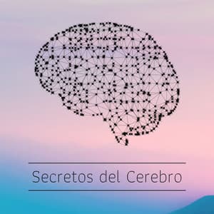 Secretos del Cerebro: Música con Ondas Cerebrales para Potenciar el Poder Mental - Musica Para Estudiar Academy