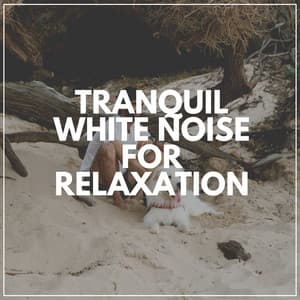 Tranquil White Noise for Relaxation - Relaxing Cabin Noise