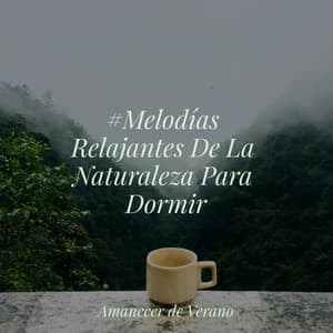 #Melodías Relajantes De La Naturaleza Para Dormir - Musica Relajante