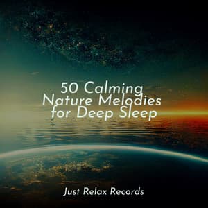 50 Calming Nature Melodies for Deep Sleep - Musica Reiki