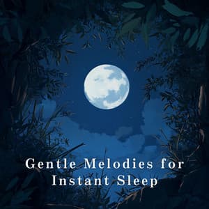 Gentle Melodies for Instant Sleep - Relaxing BGM Project