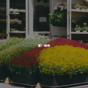 重い植物 - Office Background Music Playlists