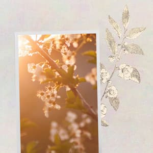 Remarkable Ambiance for Standard Events - New York City Jazz Club