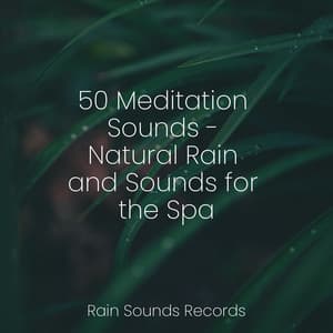 50 Meditation Sounds - Natural Rain and Sounds for the Spa - Calming Waves
