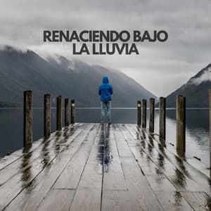 Renaciendo bajo la lluvia - Lluvia Para Dormir Mejor