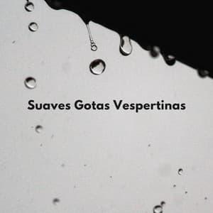 Suaves Gotas Vespertinas - Bonitos ruidos de lluvia