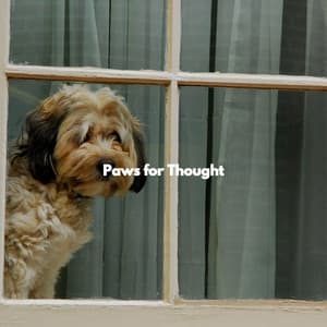Paws for Thought - Calming Jazz For Dogs