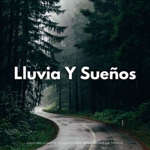 Lluvia Y Sueños: Un Clima Lluvioso Relajante Para Dormir Como Un Tronco - Sonidos de lluvia para dormir
