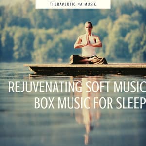 Rejuvenating Soft Music Box Music for Sleep - Therapeutic NA Music
