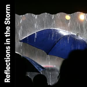 Reflections in the Storm - Thunderstorms