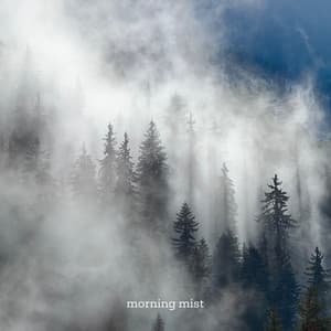 morning mist - blondette