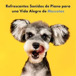 Refrescantes Sonidos De Piano Para Una Vida Alegre De Mascotas - Maestras de piano relajantes