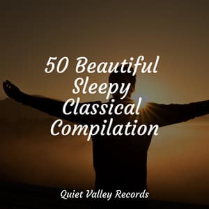 50 Beautiful Sleepy Classical Compilation - Gentle Rain Makers