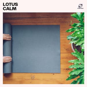 Lotus Calm: Yoga Relaxation Music - Namaste