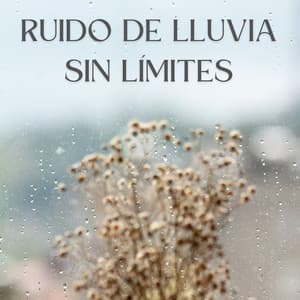 Ruido De Lluvia Sin Límites - La Lluvia Suena Expertos en Naturaleza