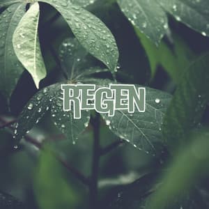 Naturalize - Regengeräusche