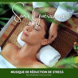 Sons Guérisseurs: Musique de Réduction de Stress - Spa Musique Collection