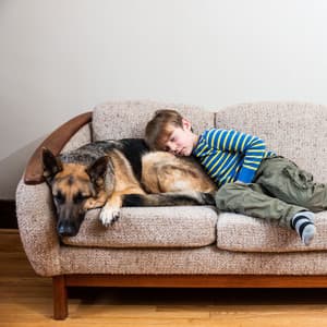 Piano Rain's Pet Naptime Oasis - Piano for Sleep