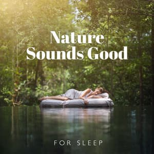 Nature Sounds Good for Sleep: Music to Reduce Stress and Anxiety, Soothing Relaxation, Cleansing Spa, Morning Yoga and Meditation - Natural Healing Music Zone