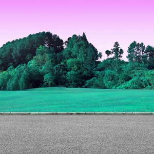 Music for Simple Curiosity - Calm Harmonica Solo - Jazz Sleeping Music