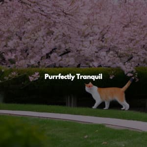 Purrfectly Tranquil - Jazz For Sleeping