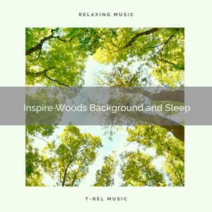 2020 Best: Inspire Woods Background and Sleep - Natural Woodland Sounds