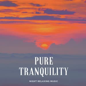 Pure Tranquility Night Relaxing Music - Relaxation Academy