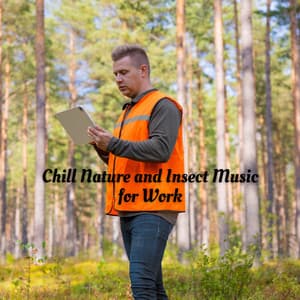 Chill Nature and Insect Music for Work - Ultimate Sounds of Nature