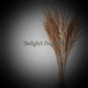 Twilight's Fragile Bloom - Cosmic Thought