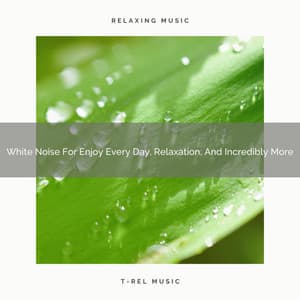 White Noise For Enjoy Every Day, Relaxation, And Incredibly More - Natural White Noise Relaxation