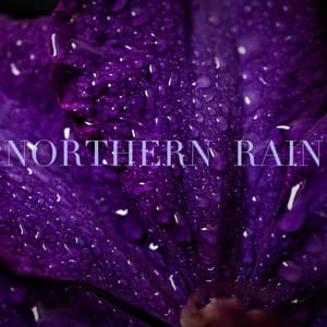 Northern Rain - The Relaxing Sounds of Swedish Nature