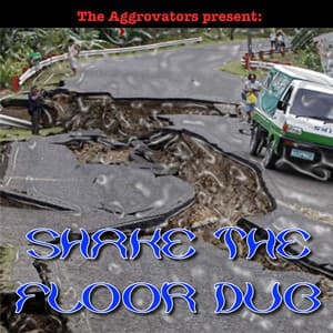 The Aggrovators Present: Shake the Floor Dub - The Aggrovators