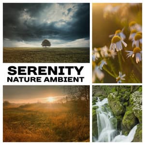 Serenity Nature Ambient: 50 Relaxation Sounds for Meditation & Sleep, Instrumental New Age for Yoga & Spa - Nature Collection