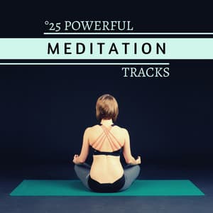°25 Powerful Meditation Tracks - Simple, Pure Tones & Natural Sounds - Purest Tonality