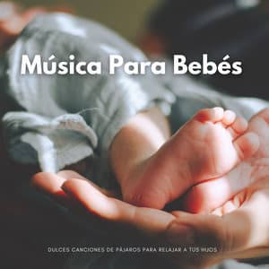 Música Para Bebés: Dulces Canciones De Pájaros Para Relajar A Tus Hijos - Radio 1 Pajaros y Ranas