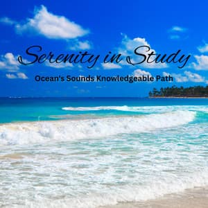 Serenity in Study: Ocean's Sounds Knowledgeable Path - Ocean Currents