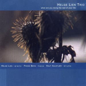 What Are You Doing the Rest of Your Life - Helge Lien Trio