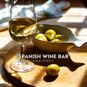 Spanish Wine Bar Ambience - Cocktail Party Music Collection
